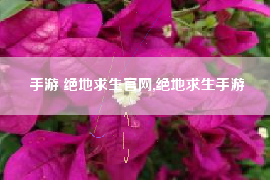 手游 绝地求生官网,绝地求生手游