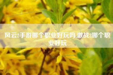 风云2手游哪个职业好玩吗,激战2哪个职业好玩