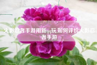 火影忍者手游用新qq玩,如何评价火影忍者手游