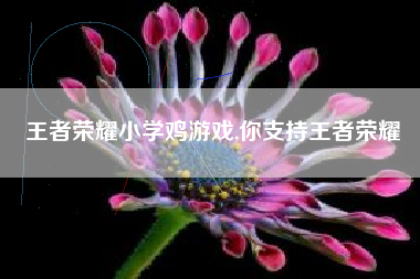 王者荣耀小学鸡游戏,你支持王者荣耀