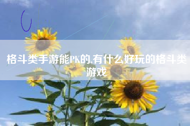 格斗类手游能PK的,有什么好玩的格斗类游戏