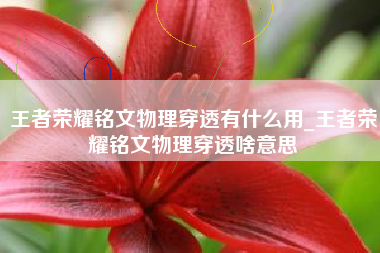 王者荣耀铭文物理穿透有什么用_王者荣耀铭文物理穿透啥意思