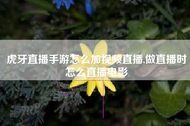 虎牙直播手游怎么加视频直播,做直播时怎么直播电影