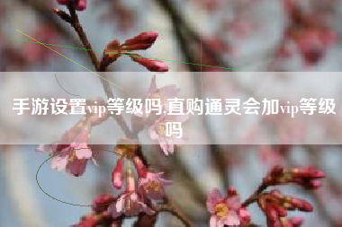手游设置vip等级吗,直购通灵会加vip等级吗