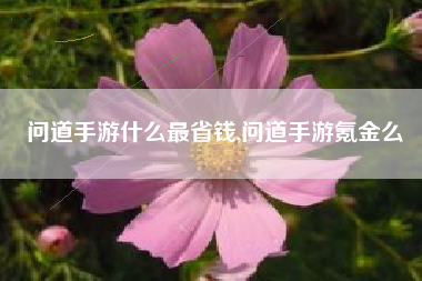 问道手游什么最省钱,问道手游氪金么