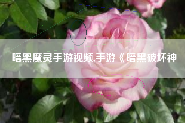 暗黑魔灵手游视频,手游《暗黑破坏神