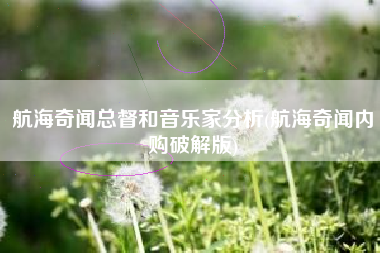 航海奇闻总督和音乐家分析(航海奇闻内购破解版)