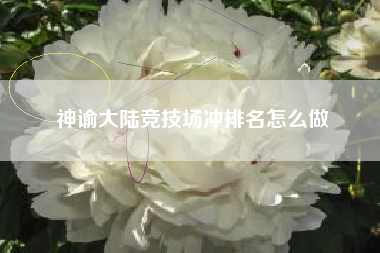 神谕大陆竞技场冲排名怎么做