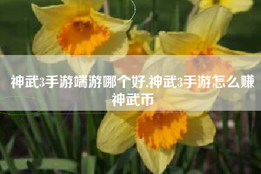 神武3手游端游哪个好,神武3手游怎么赚神武币