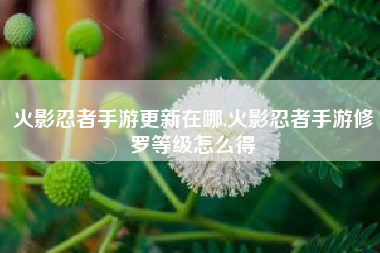 火影忍者手游更新在哪,火影忍者手游修罗等级怎么得