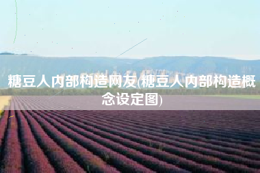 糖豆人内部构造网友(糖豆人内部构造概念设定图)