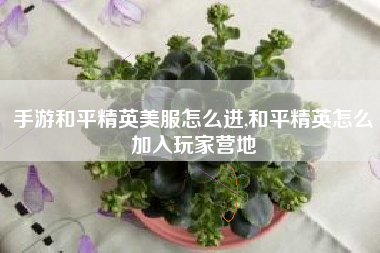 手游和平精英美服怎么进,和平精英怎么加入玩家营地