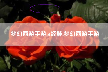 梦幻西游手游pt经脉,梦幻西游手游