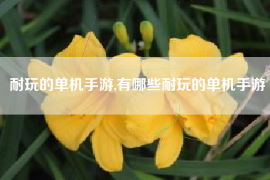 耐玩的单机手游,有哪些耐玩的单机手游
