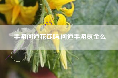 手游问道花钱吗,问道手游氪金么