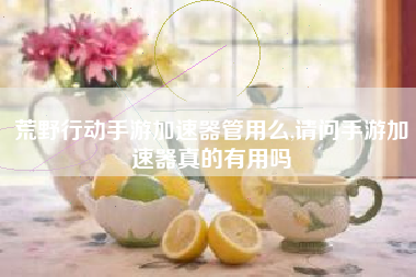 荒野行动手游加速器管用么,请问手游加速器真的有用吗