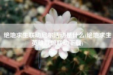 绝地求生联动尼尔活动是什么(绝地求生英雄联盟联动下载)