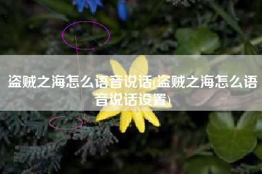盗贼之海怎么语音说话(盗贼之海怎么语音说话设置)