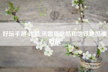 好玩手游 跑酷,汤姆猫跑酷和地铁跑酷谁好玩