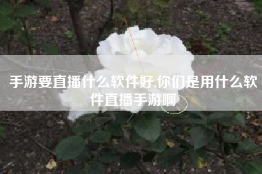 手游要直播什么软件好,你们是用什么软件直播手游啊