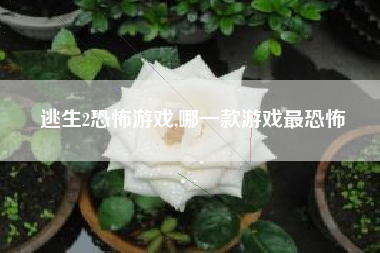 逃生2恐怖游戏,哪一款游戏最恐怖