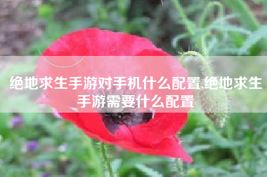 绝地求生手游对手机什么配置,绝地求生手游需要什么配置
