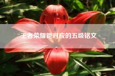 王者荣耀铠对应的五级铭文