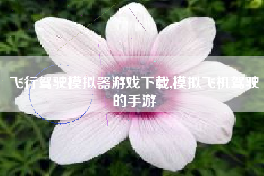 飞行驾驶模拟器游戏下载,模拟飞机驾驶的手游