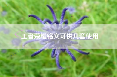 王者荣耀铭文可供几套使用
