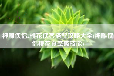 神雕侠侣2桃花侠客搭配攻略大全(神雕侠侣桃花真空破技能)