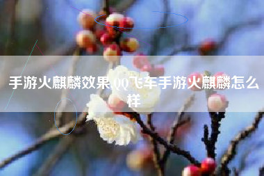 手游火麒麟效果,QQ飞车手游火麒麟怎么样