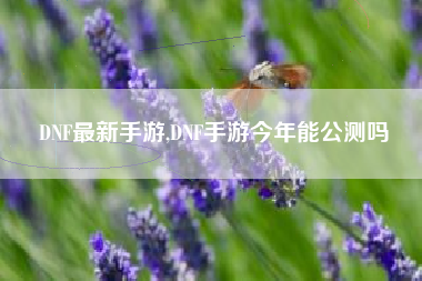 DNF最新手游,DNF手游今年能公测吗