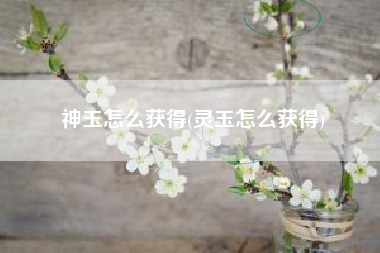 神玉怎么获得(灵玉怎么获得)