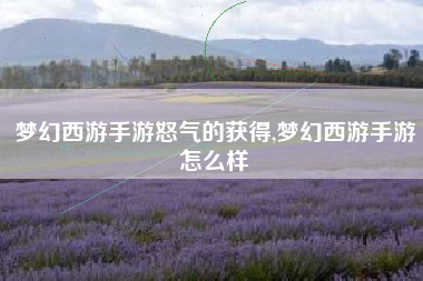梦幻西游手游怒气的获得,梦幻西游手游怎么样