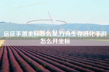 远征手游坐标怎么发,方舟生存进化手游怎么开坐标