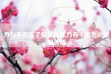 方舟手游忘了服务器名,方舟手游怎么进服务器