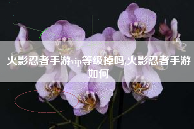 火影忍者手游vip等级掉吗,火影忍者手游如何
