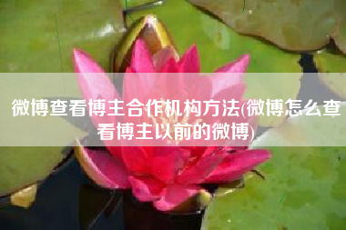微博查看博主合作机构方法(微博怎么查看博主以前的微博)