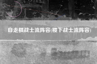 自走棋战士流阵容(稷下战士流阵容)