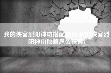 我的侠客烈阳神功搭配推荐(我的侠客烈阳神功秘籍怎么获得)