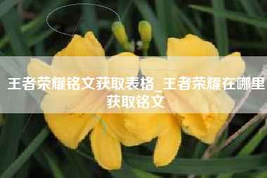 王者荣耀铭文获取表格_王者荣耀在哪里获取铭文