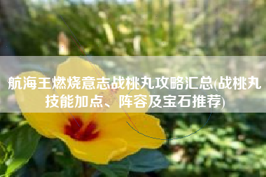 航海王燃烧意志战桃丸攻略汇总(战桃丸技能加点、阵容及宝石推荐)