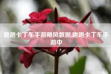 跑跑卡丁车手游飓风数据,跑跑卡丁车手游中