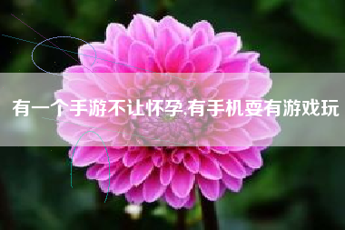 有一个手游不让怀孕,有手机耍有游戏玩