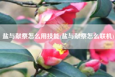 盐与献祭怎么用技能(盐与献祭怎么联机)
