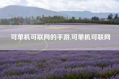 可单机可联网的手游,可单机可联网