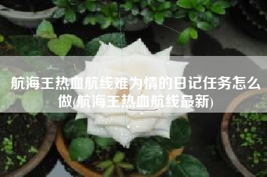 航海王热血航线难为情的日记任务怎么做(航海王热血航线最新)