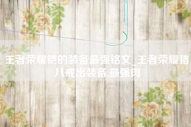 王者荣耀铠的装备最强铭文_王者荣耀猪八戒出装备,最强肉