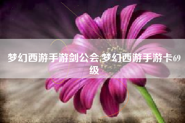 梦幻西游手游剑公会,梦幻西游手游卡69级