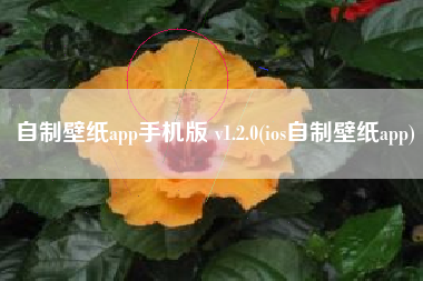 自制壁纸app手机版 v1.2.0(ios自制壁纸app)